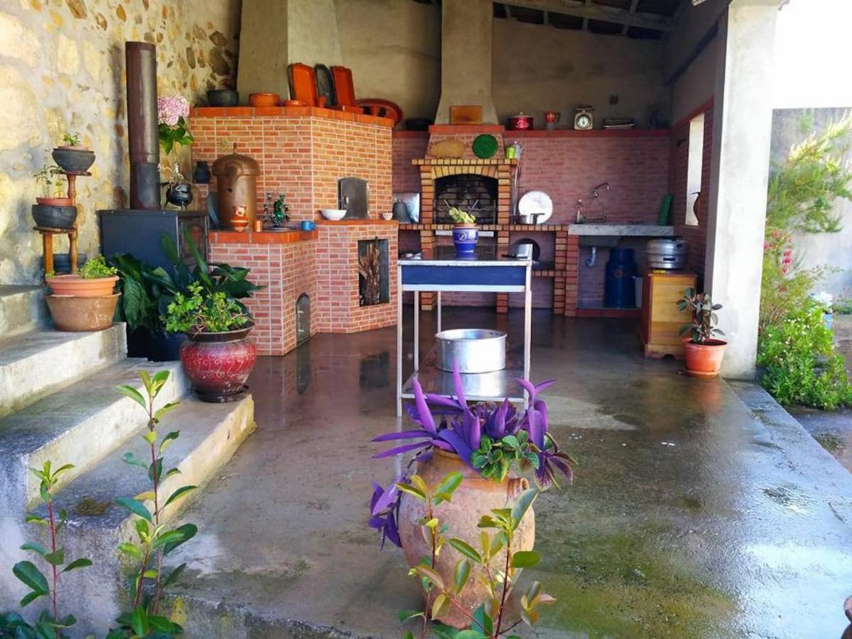 Villa Casa Aurora Penacova Exterior foto